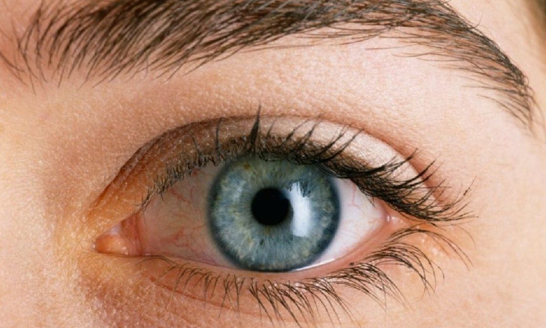 Las espinacas y su poder curativo