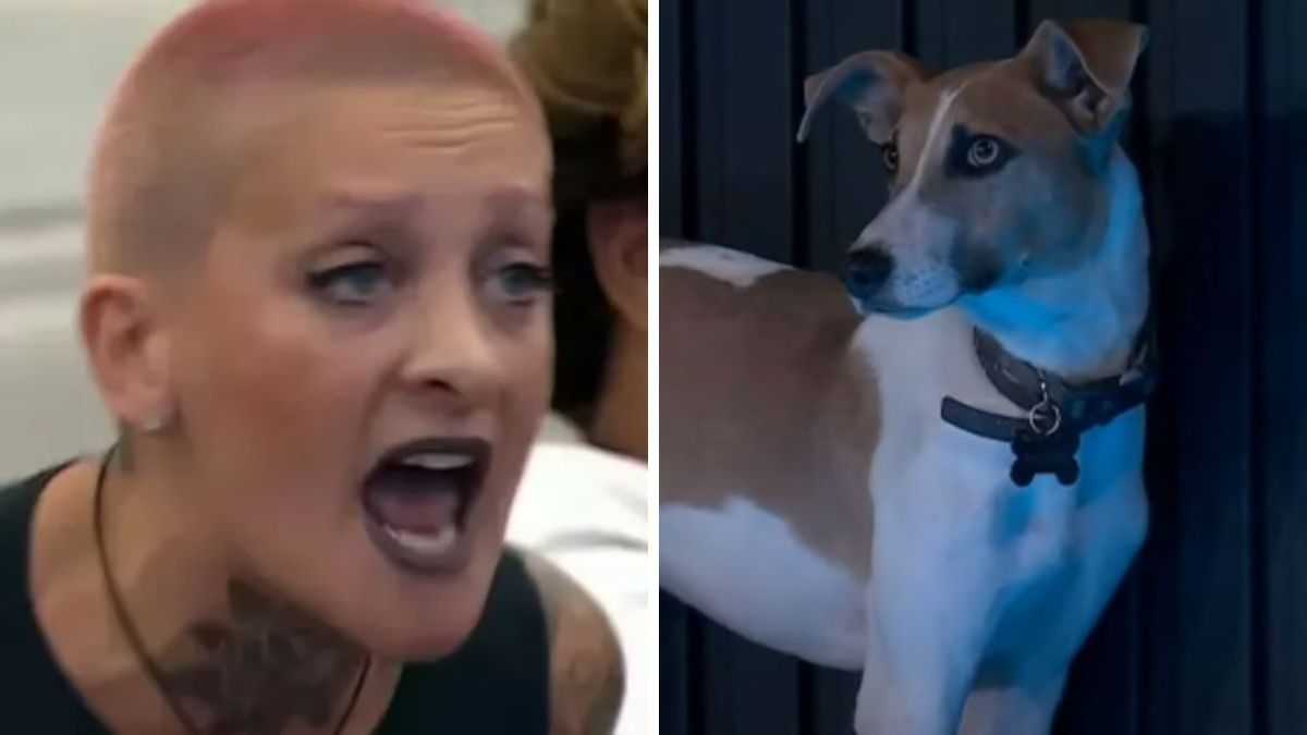 Furia de Gran Hermano le gritó al perro Arturo y la cancelaron.
