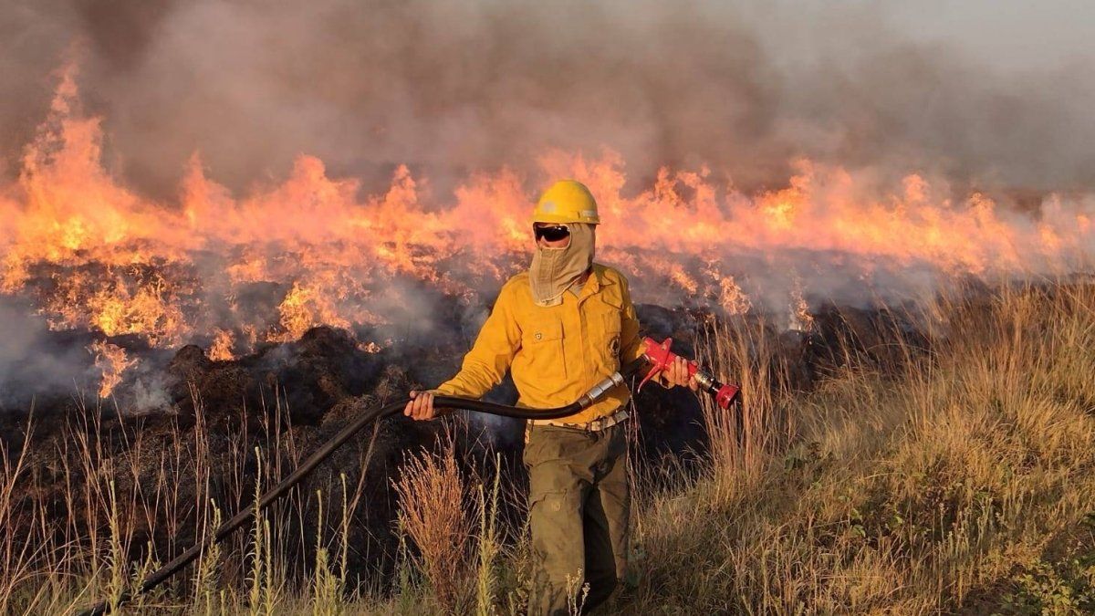 Los incendios afectaron una de las zonas de mayor biodiversidad del país: los Esteros del Iberá.