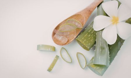 La crema de aloe vera casera es una alternativa natural para hidratar y cuidar la piel todos los días. La crema de aloe vera casera es una alternativa natural para hidratar y cuidar la piel todos los días.