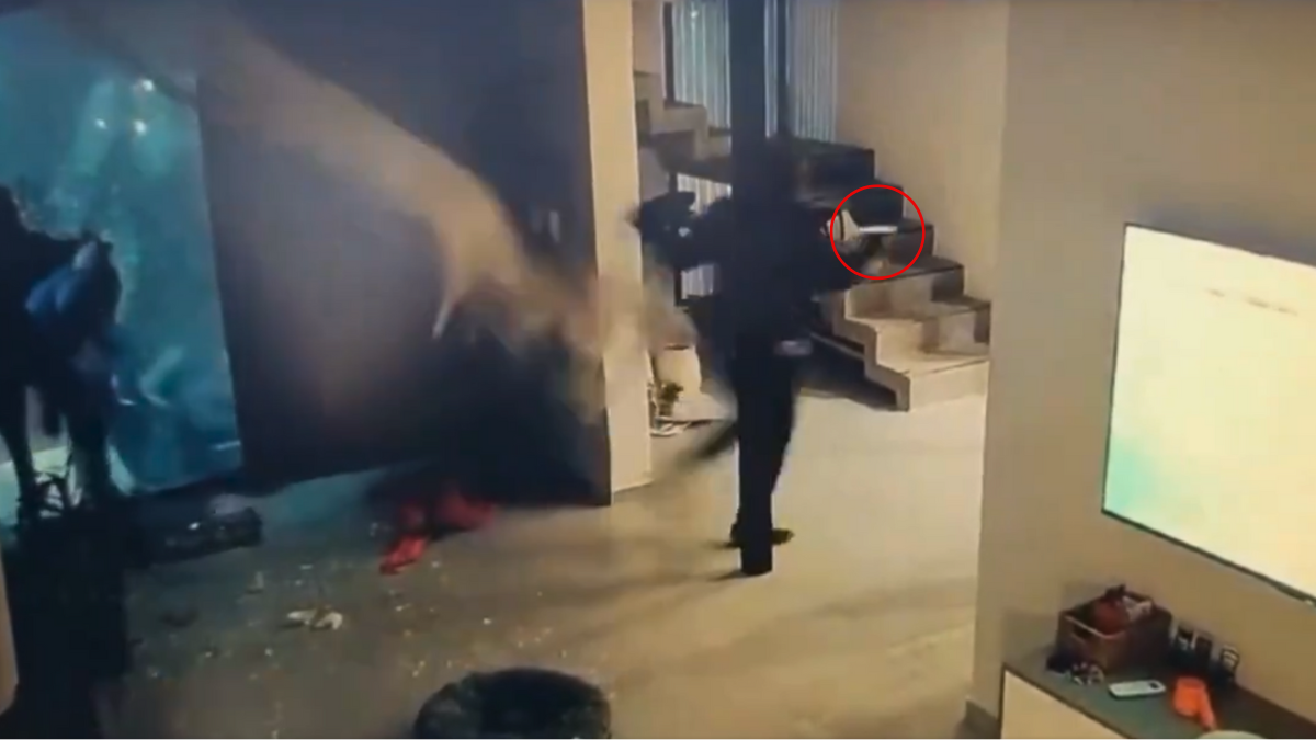 Al menos seis delincuentes rompieron una ventana con la culata de una pistola