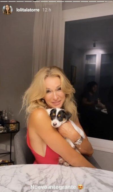 La presentación del perro nuevo de los Latorre. 