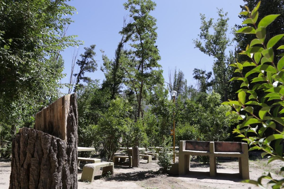 El camping "El Bosquecito" es una alternativa económica y diferente. El camping "El Bosquecito" es una alternativa económica y diferente.