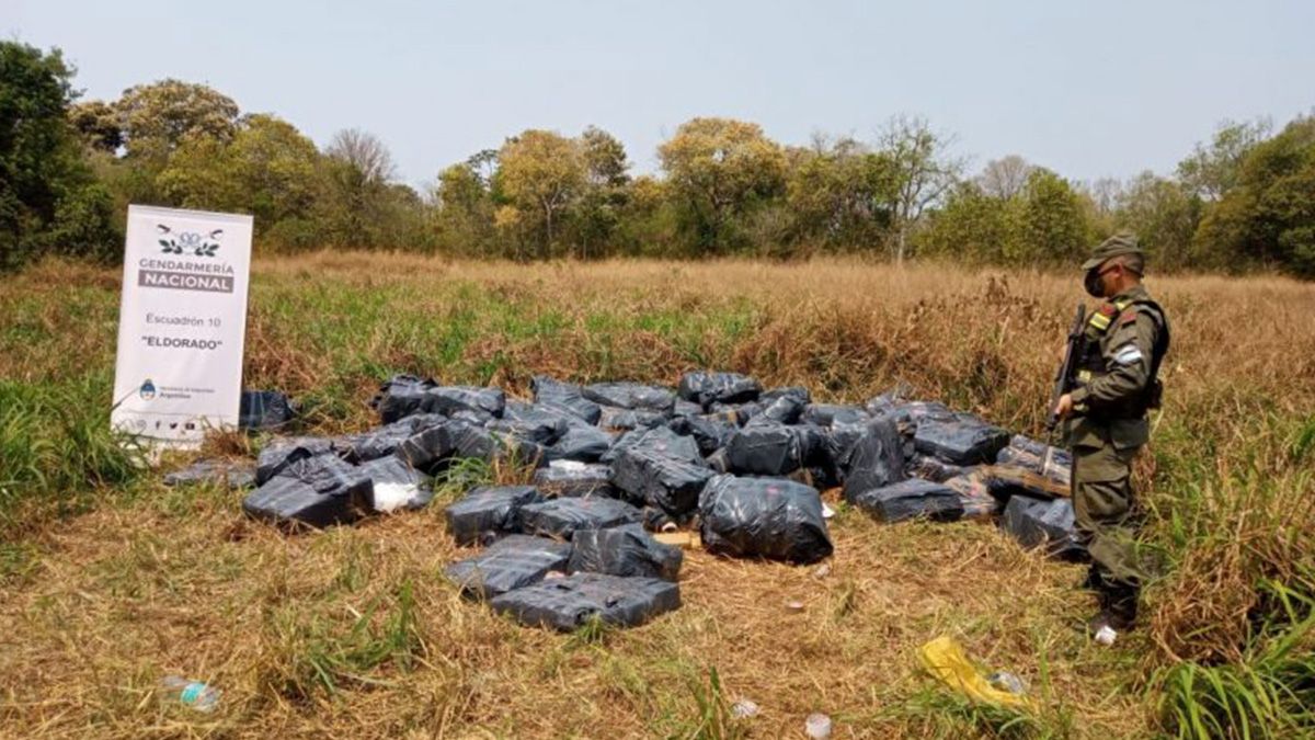 Hallan cerca de tres toneladas de marihuana acopiada en pleno monte en Misiones