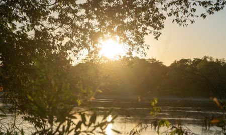 El Delta del Paraná, uno de los sistemas de humedales más importantes del planeta, enfrenta una creciente contaminación. El Delta del Paraná, uno de los sistemas de humedales más importantes del planeta, enfrenta una creciente contaminación.