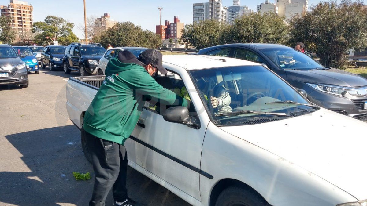 Integrantes de Unión de Trabajadores de la Tierra (UTT) se manifiestan realizando un nuevo