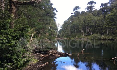 Aire de Santa Fe | Parque nacional Chile.jpeg