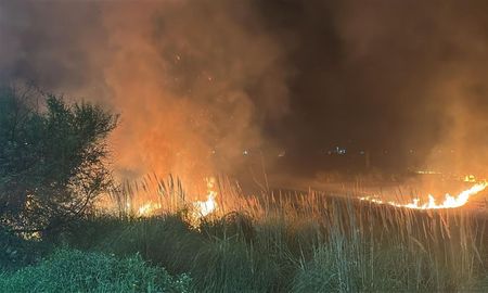 El incendio de pastizales a metros de avenida Circunvalación Oeste. El incendio de pastizales a metros de avenida Circunvalación Oeste.