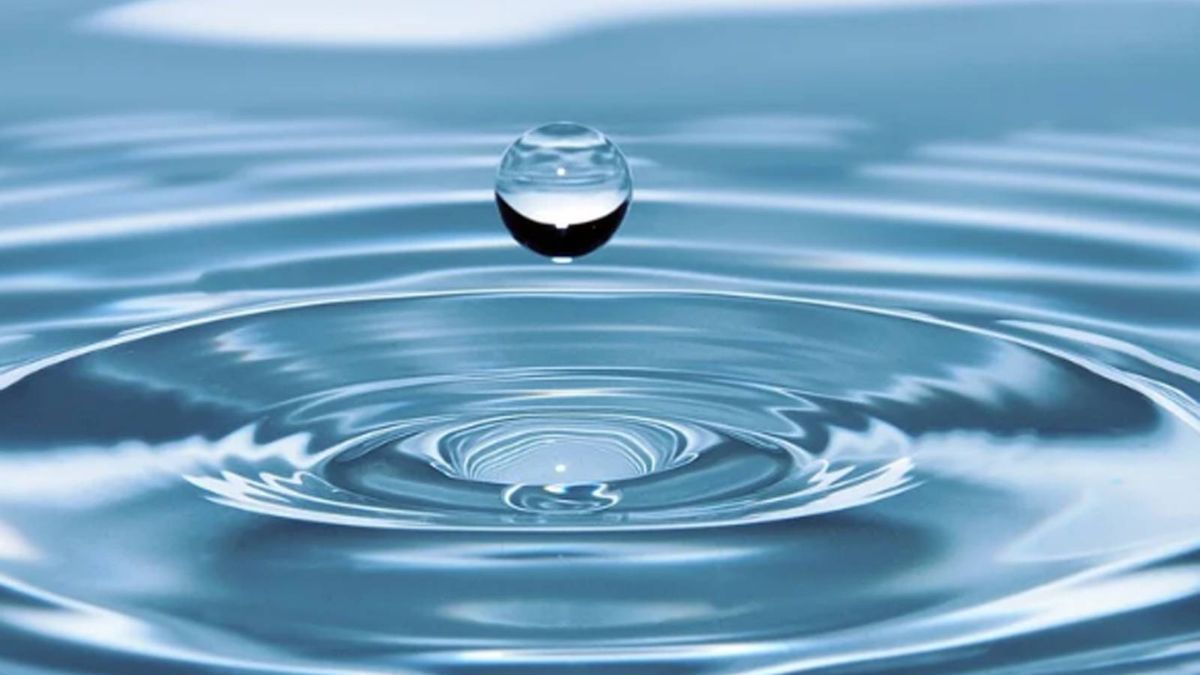 La importancia de la hidratación para la salud: consejos para mantenerse hidratado La importancia de la hidratación para la salud: consejos para mantenerse hidratado