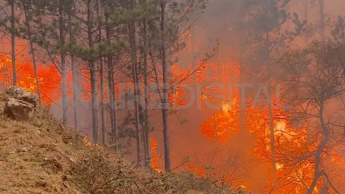 1300 bomberos voluntarios trabajan para sofocar los incendios en Calamuchita, Córdoba. 1300 bomberos voluntarios trabajan para sofocar los incendios en Calamuchita, Córdoba.