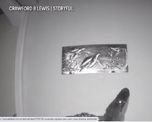 video viral: asi intento un enorme caiman cazar una tortuga de un cuadro video viral: asi intento un enorme caiman cazar una tortuga de un cuadro