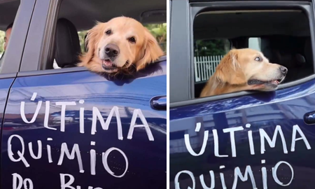 El tierno festejo de una familia al celebrar que su perrito venció al cáncer. El tierno festejo de una familia al celebrar que su perrito venció al cáncer.