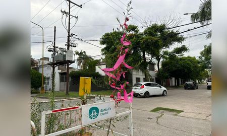 Este viernes, la Municipalidad comenzó con los arreglos del socavón en barrio Guadalupe, y colocó una boca de tormenta donde estaba la maleza adornada para Navidad. Este viernes, la Municipalidad comenzó con los arreglos del socavón en barrio Guadalupe, y colocó una boca de tormenta donde estaba la maleza adornada para Navidad.