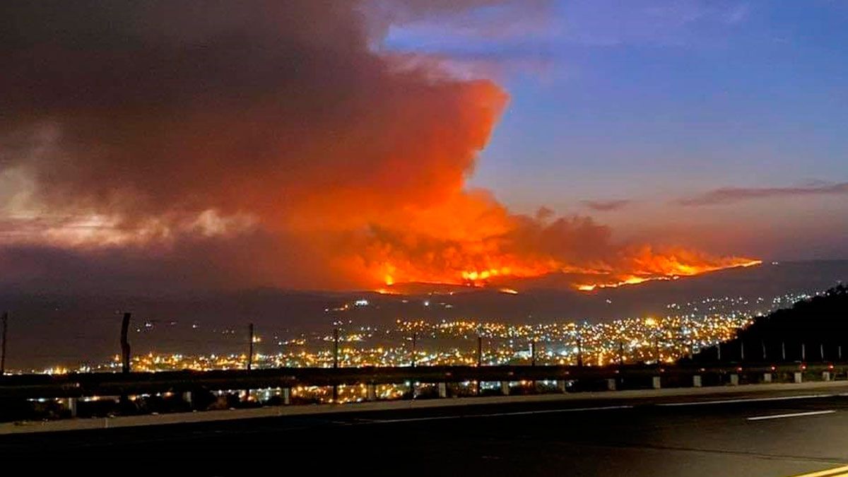 La iniciativa determina que por el término de 60 años no se podrán cambiar el uso de los bosques nativos o implantados, áreas naturales protegidas y humedales, a fin de garantizar las condiciones para la restauración de las superficies incendiadas, y de 30 años en el caso de zonas agrícolas.