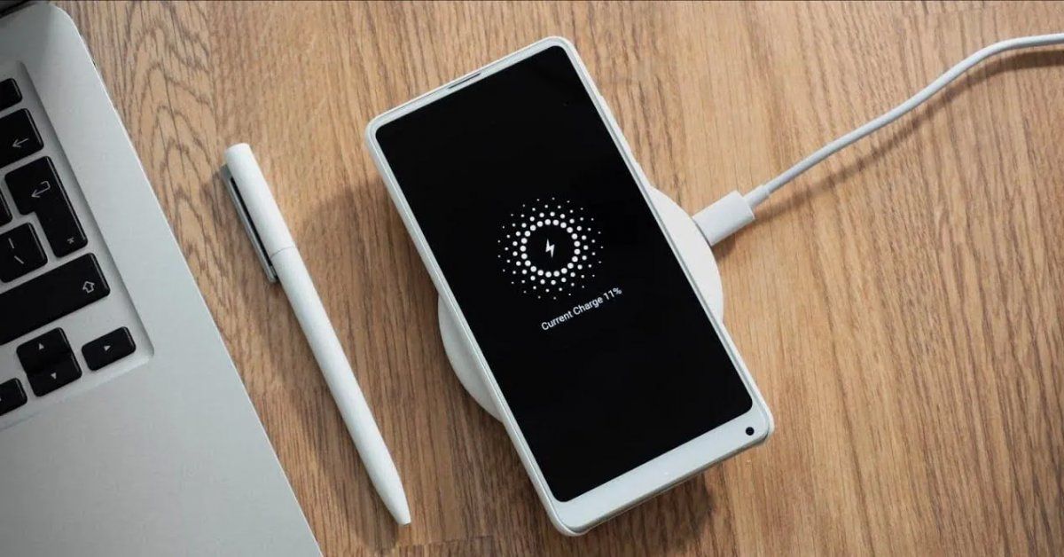 Guía para elegir entre diferentes e interesantes opciones.