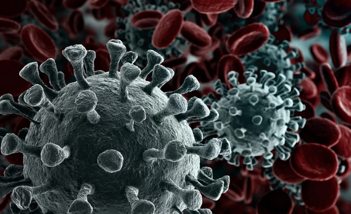 Melvin Vopson, un científico de la Universidad de Lisboa, afirmó haber descubierto pruebas de una nueva ley física gracias al coronavirus. Melvin Vopson, un científico de la Universidad de Lisboa, afirmó haber descubierto pruebas de una nueva ley física gracias al coronavirus.