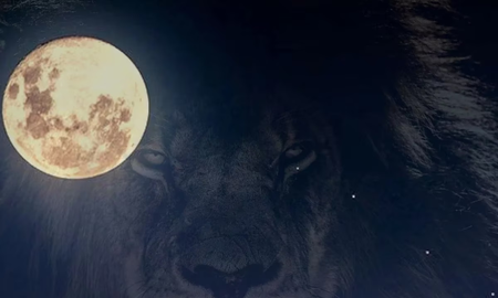La Luna llena en Leo marca un punto de máxima visibilidad y redefine la relación entre autoestima y dinero. La Luna llena en Leo marca un punto de máxima visibilidad y redefine la relación entre autoestima y dinero.
