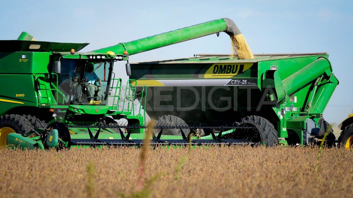 En más del 80% de la superficie total de la provincia de Santa Fe se desarrollan actividades agropecuarias.