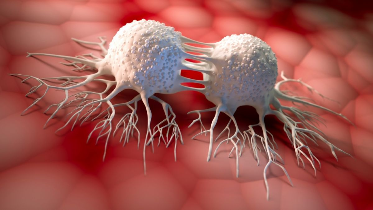 La quimioterapia experimental AOH1996: un enfoque único en la lucha contra el cáncer. La quimioterapia experimental AOH1996: un enfoque único en la lucha contra el cáncer.