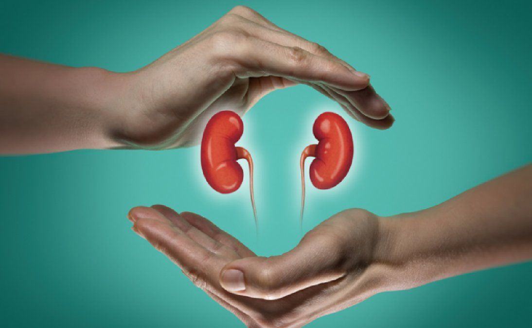 Alimentos buenos para la salud de los riñones