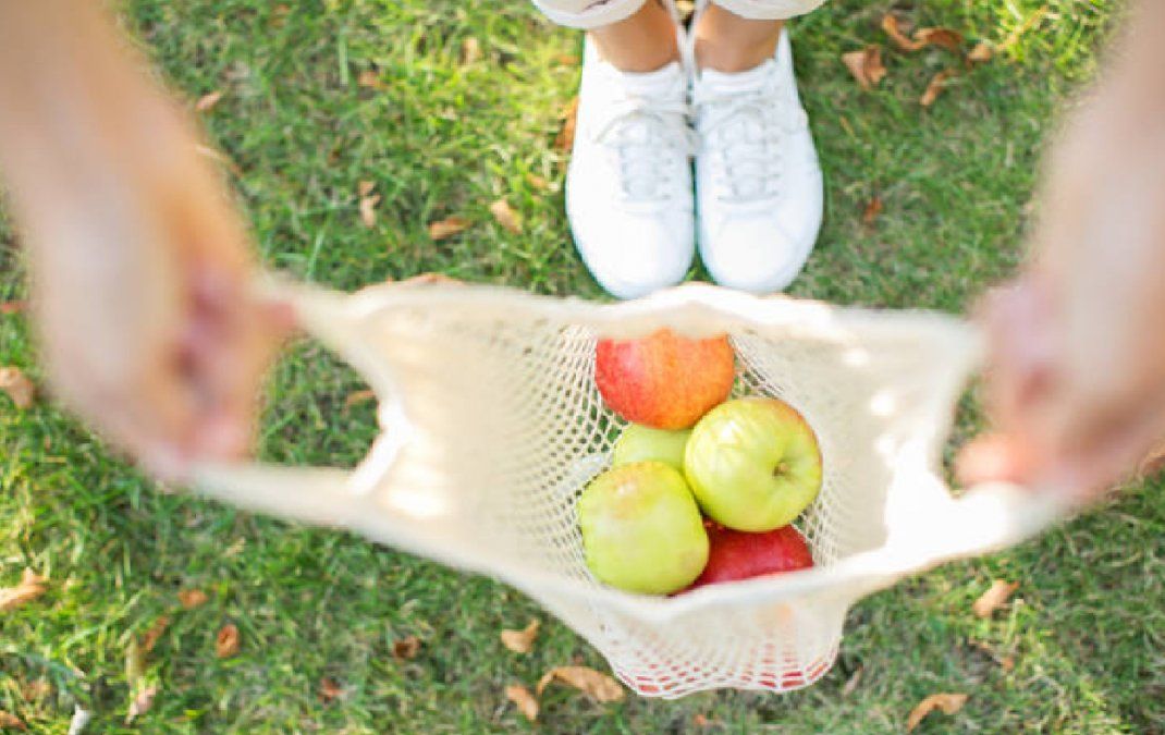 Un grupo de investigadores realizaron un estudio en el que analizaron el impacto que tienen las frutas y verduras en nuestra salud y bienestar.