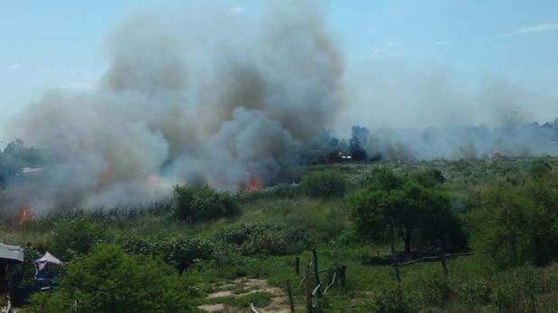 Incendio de pastizales en la intersección de Milagros de Arteriza y Castañeda, en San José del Rincón.