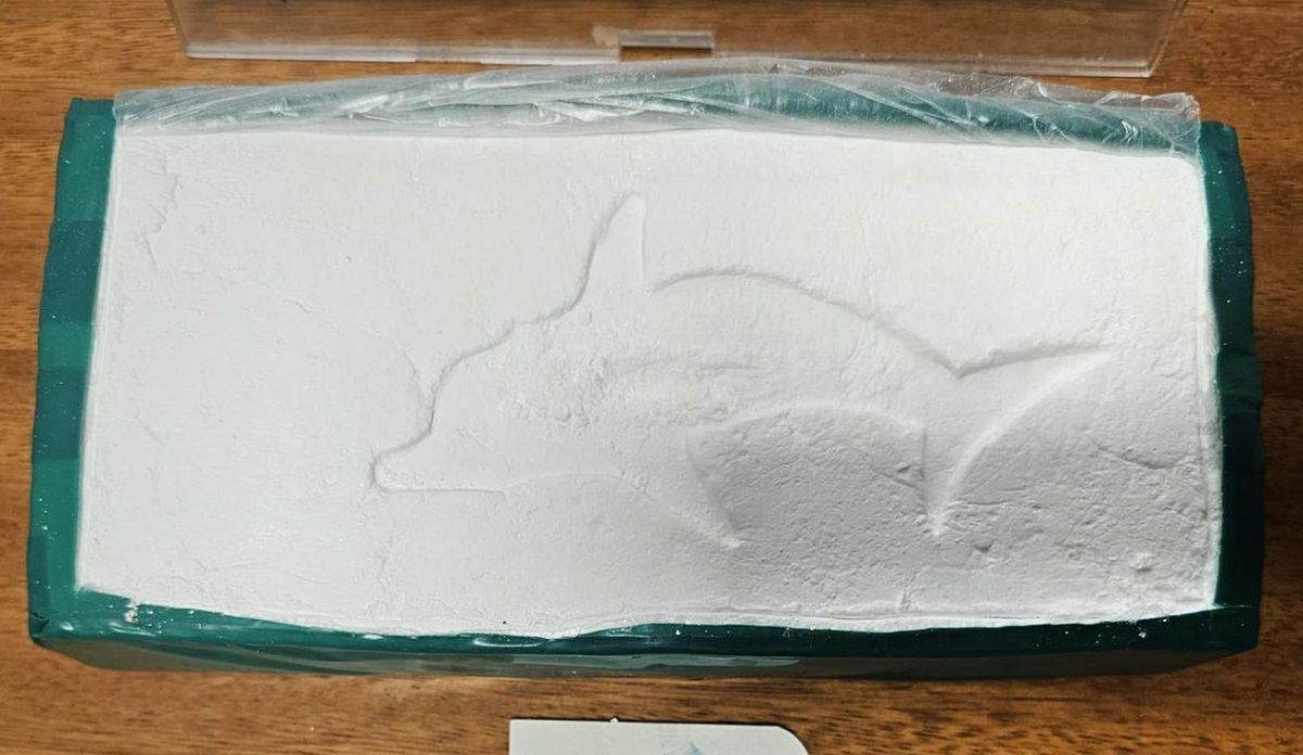 La droga que secuestraron los agentes de la PSA.&nbsp;