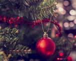 las mejores ideas para armar el arbolito el 8 de diciembre las mejores ideas para armar el arbolito el 8 de diciembre