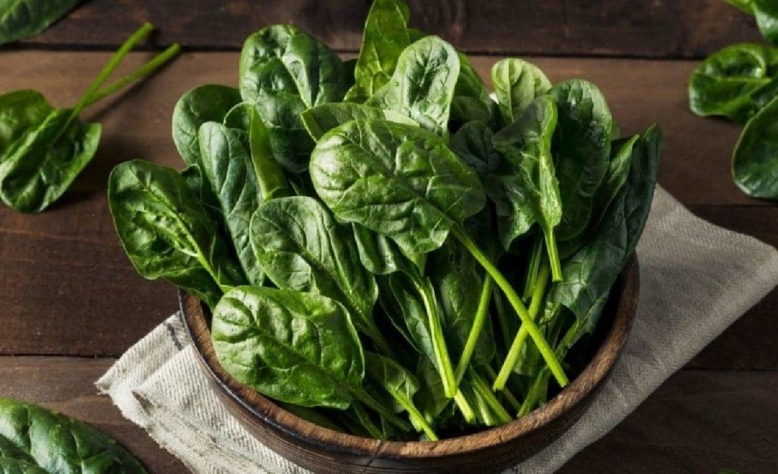 Contraindicaciones de consumir espinacas en exceso para el organismo