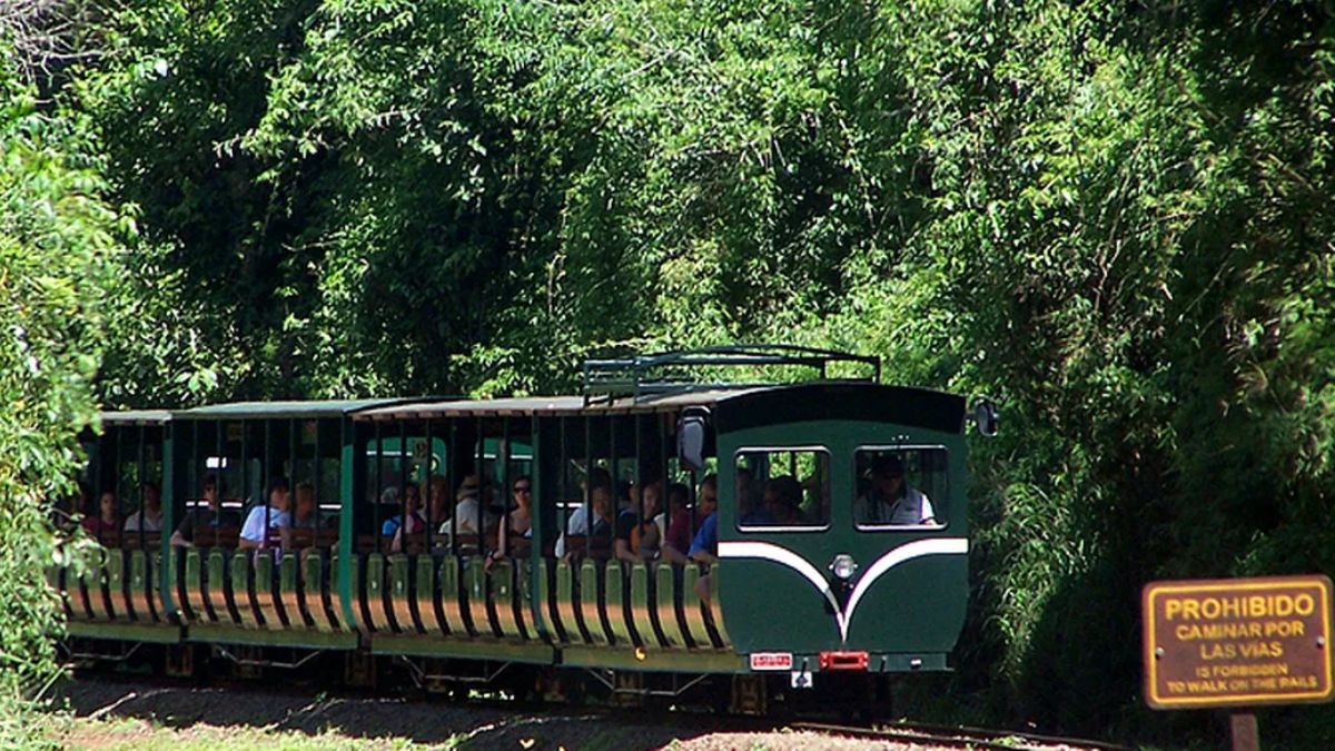 El Tren Ecológico recorre la selva misionera, llevando a los visitantes a un entorno natural lleno de vida y biodiversidad. El Tren Ecológico recorre la selva misionera, llevando a los visitantes a un entorno natural lleno de vida y biodiversidad.