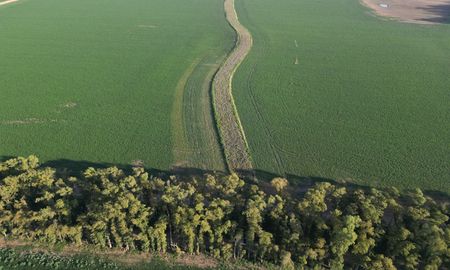 paisajes multifuncionales: un nuevo paradigma agricola para mejorar la productividad paisajes multifuncionales: un nuevo paradigma agricola para mejorar la productividad