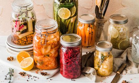 Alimentos fermentados envasados al vacío.