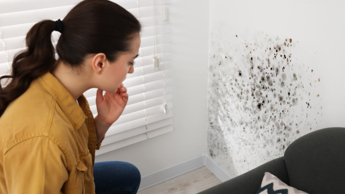 Cómo combatir la humedad en tu casa: la solución a tus problemas