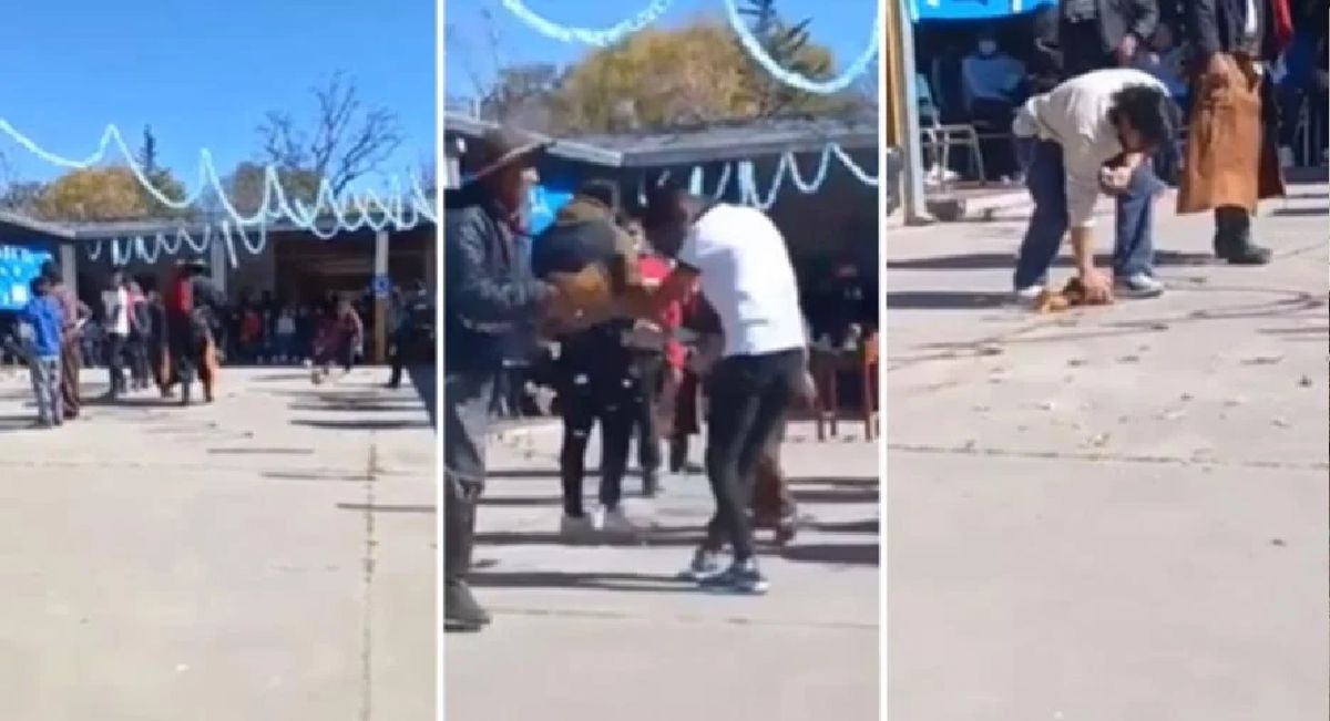 Salta: conmoción luego de que alumnos torturaran y descuartizaran una gallina en un juego en la escuela&nbsp;