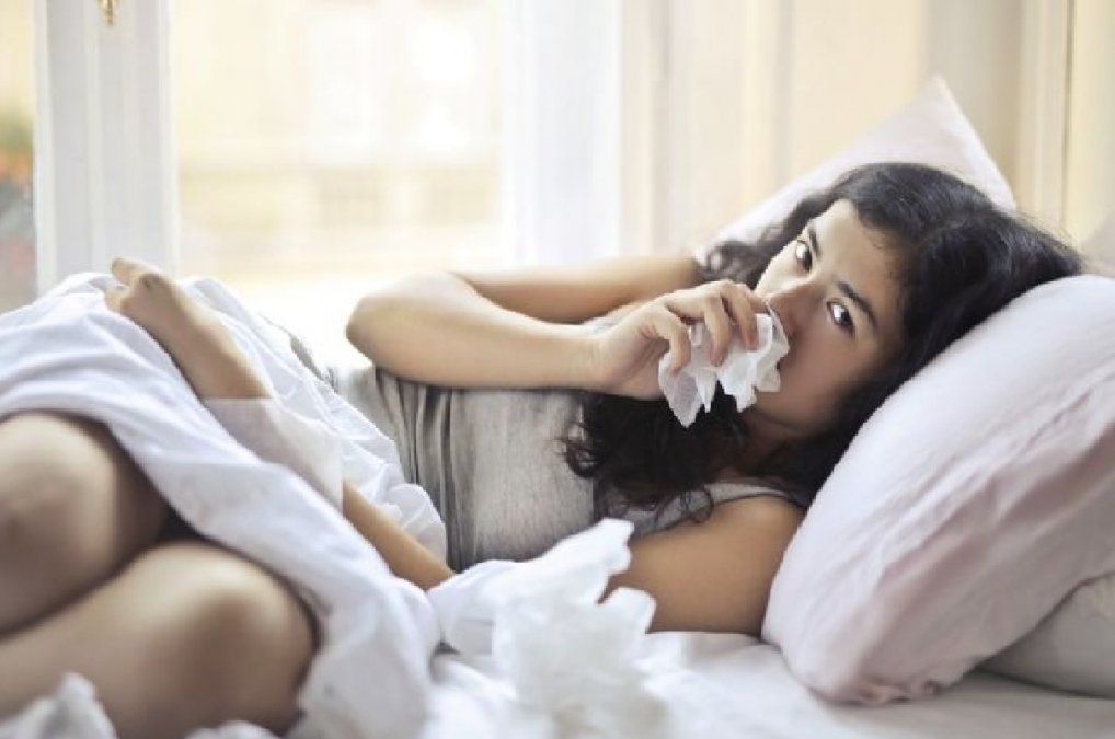 Plantas fortalecen tu sistema inmune y refuerzan las defensas