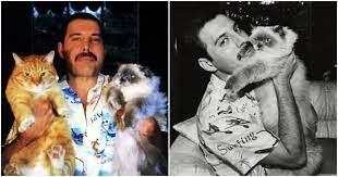 La obsesión de Freddie Mercury.