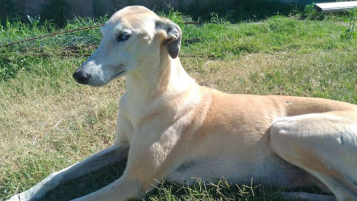 Paris se ganó el corazón de todos con su corta estadía en la casa de Gran Hermano.