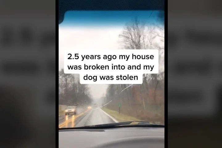 Clip. La joven contó su historia. Foto: captura de video/@mariahmayflower.