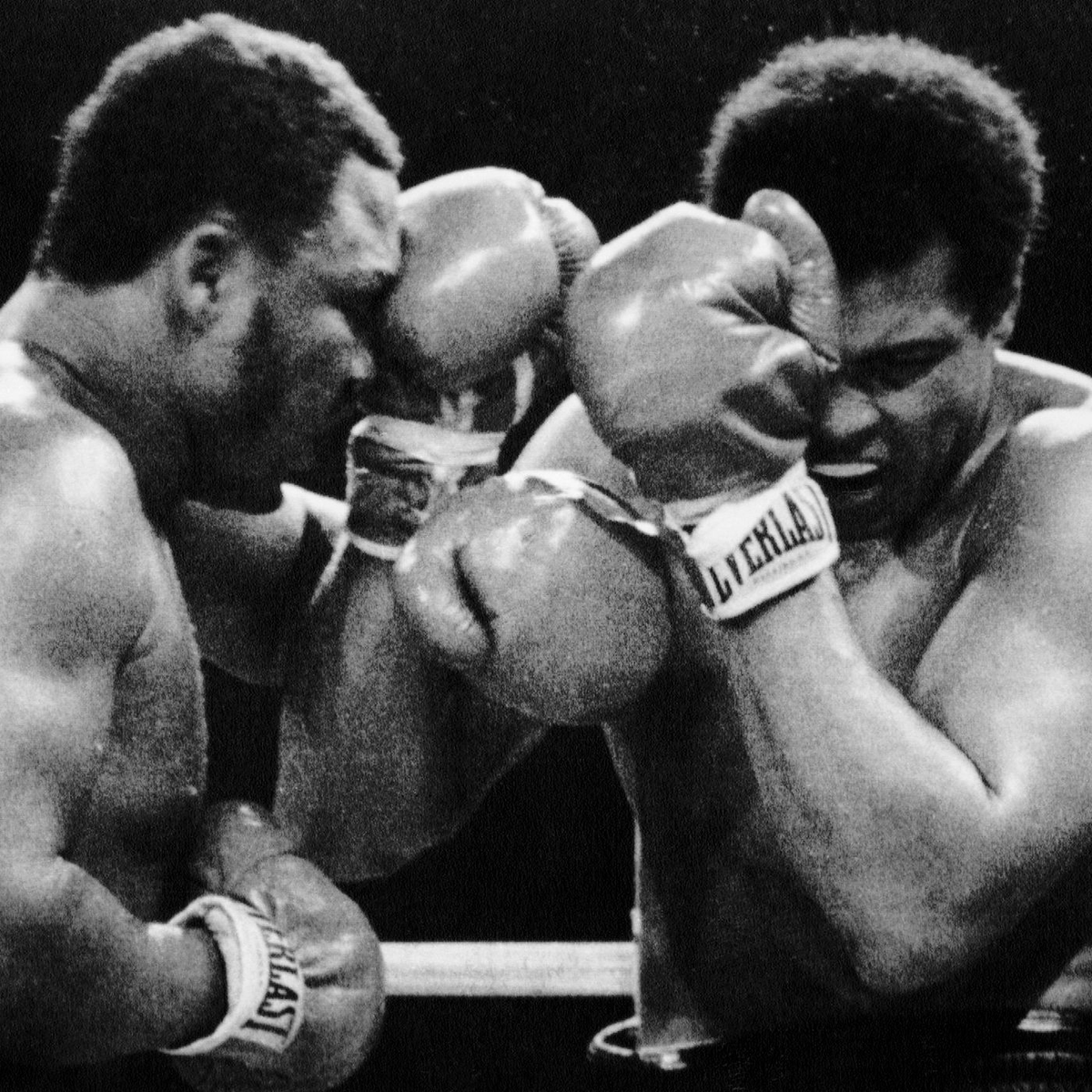 La pelea fue de toma y daca permanente y, ninguno, dio ni un paso atrás. Frazier, con su clásico juego de cintura, acortó distancias y con sus devastadores ganchos de izquierda impactó en el cuerpo de un Ali quien, con sus jabs quirúrgicos y derechazos a fondo, golpeó a su retador con fiereza una y otra vez, sobre todo en la cabeza. La pelea fue de toma y daca permanente y, ninguno, dio ni un paso atrás. Frazier, con su clásico juego de cintura, acortó distancias y con sus devastadores ganchos de izquierda impactó en el cuerpo de un Ali quien, con sus jabs quirúrgicos y derechazos a fondo, golpeó a su retador con fiereza una y otra vez, sobre todo en la cabeza.