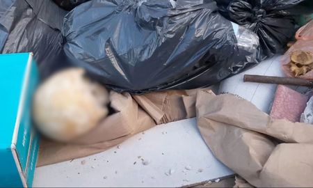 Un vecino salió a tirar la basura y encontró un cráneo humano en Mar del Plata. (Foto: La Capital). Un vecino salió a tirar la basura y encontró un cráneo humano en Mar del Plata. (Foto: La Capital).
