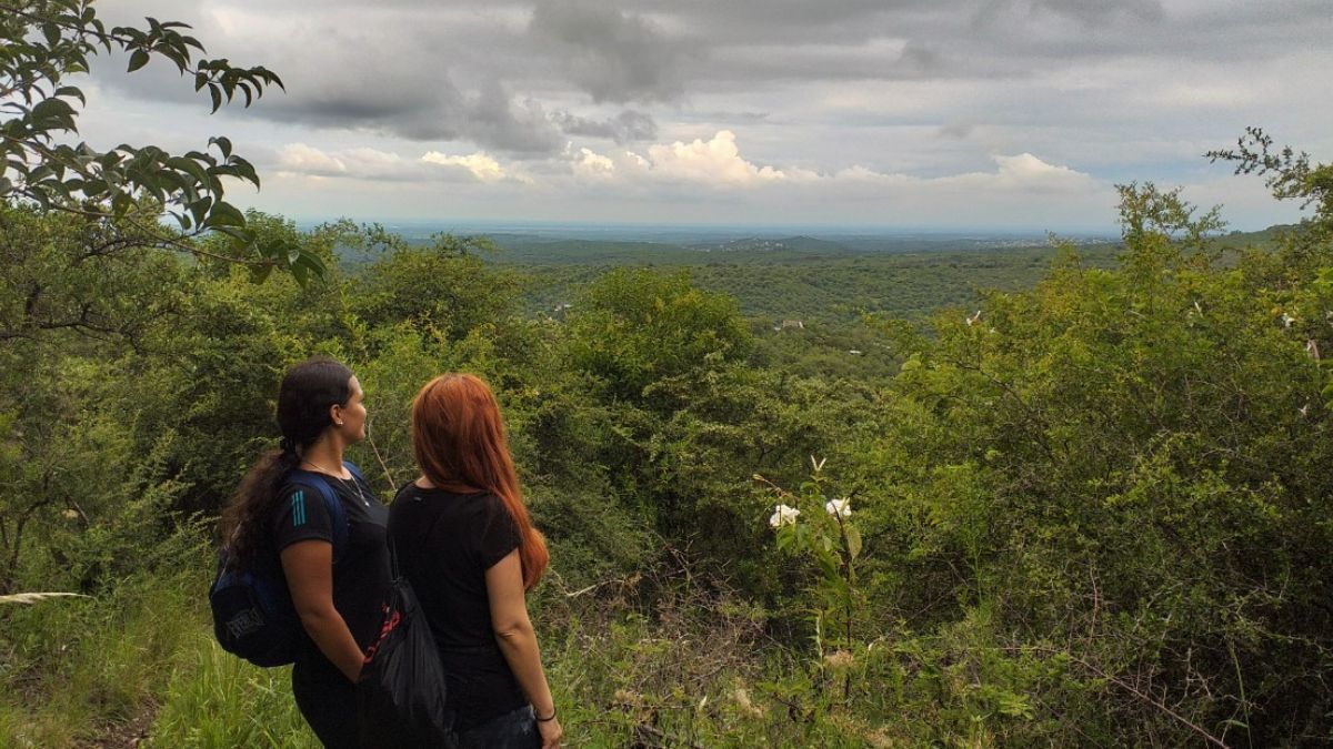 La preservación del monte nativo en Cerro Azul permite el avistaje de especies de aves que ya desaparecieron de los centros turísticos más urbanizados.
