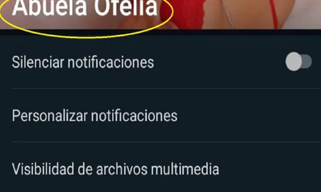se llevo una sorpresa al revisar el contacto de whatsapp de su abuela fallecida y es viral se llevo una sorpresa al revisar el contacto de whatsapp de su abuela fallecida y es viral