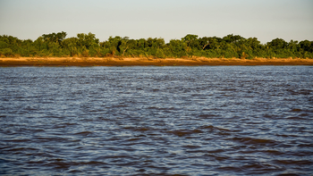Un pescador dio aviso a la Policía tras hallar a un hombre sin vida en la costa del Paraná. Un pescador dio aviso a la Policía tras hallar a un hombre sin vida en la costa del Paraná.
