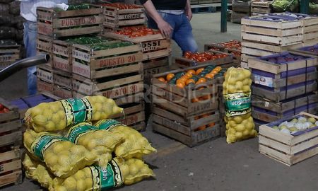 En un relevamiento que realizó un abogado ambientalista en Rosario, con la participación de escribanos, se detectaron hasta 11 agroquímicos en el 75% de las muestras analizadas. En un relevamiento que realizó un abogado ambientalista en Rosario, con la participación de escribanos, se detectaron hasta 11 agroquímicos en el 75% de las muestras analizadas.