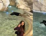 insolito video: un turista se tiro a la fontana di trevi en roma y fue multado por 500 euros insolito video: un turista se tiro a la fontana di trevi en roma y fue multado por 500 euros