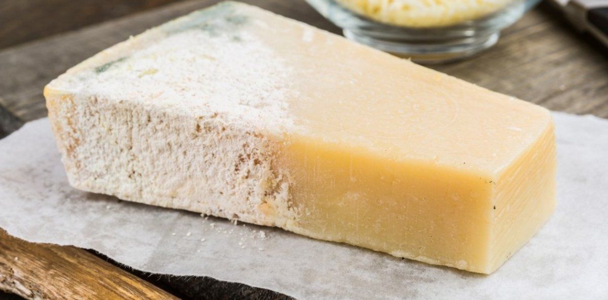 queso moho.jpg