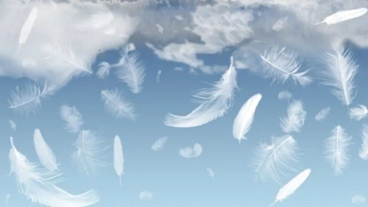 Qué significa encontrar una pluma inesperadamente&nbsp;