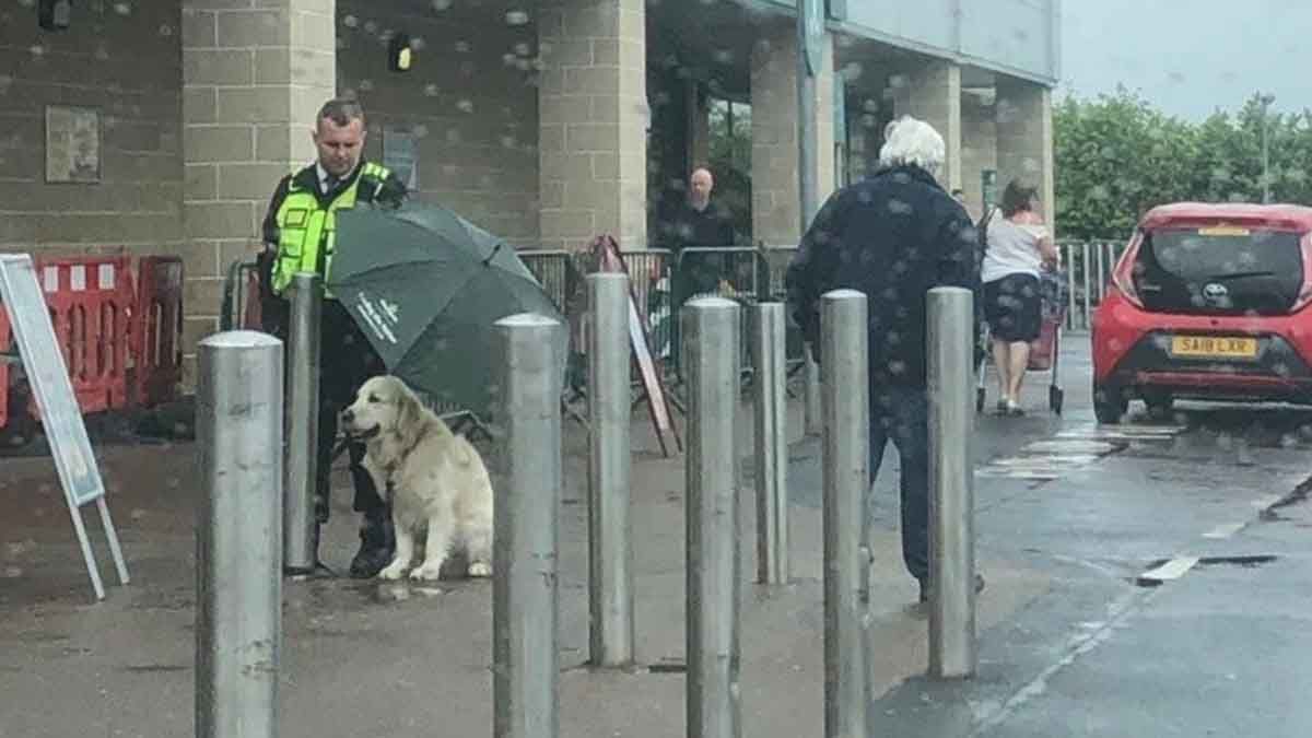 Un guardia de seguridad conmueve en las redes tras proteger a un perro de la lluvia