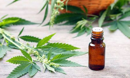 A casi cuatro meses de la media sanción en Diputados del proyecto de Ley de Autoabastecimiento de Cannabis con fines terapéuticos, la iniciativa perdería estado parlamentario en pocas semanas. A casi cuatro meses de la media sanción en Diputados del proyecto de Ley de Autoabastecimiento de Cannabis con fines terapéuticos, la iniciativa perdería estado parlamentario en pocas semanas.
