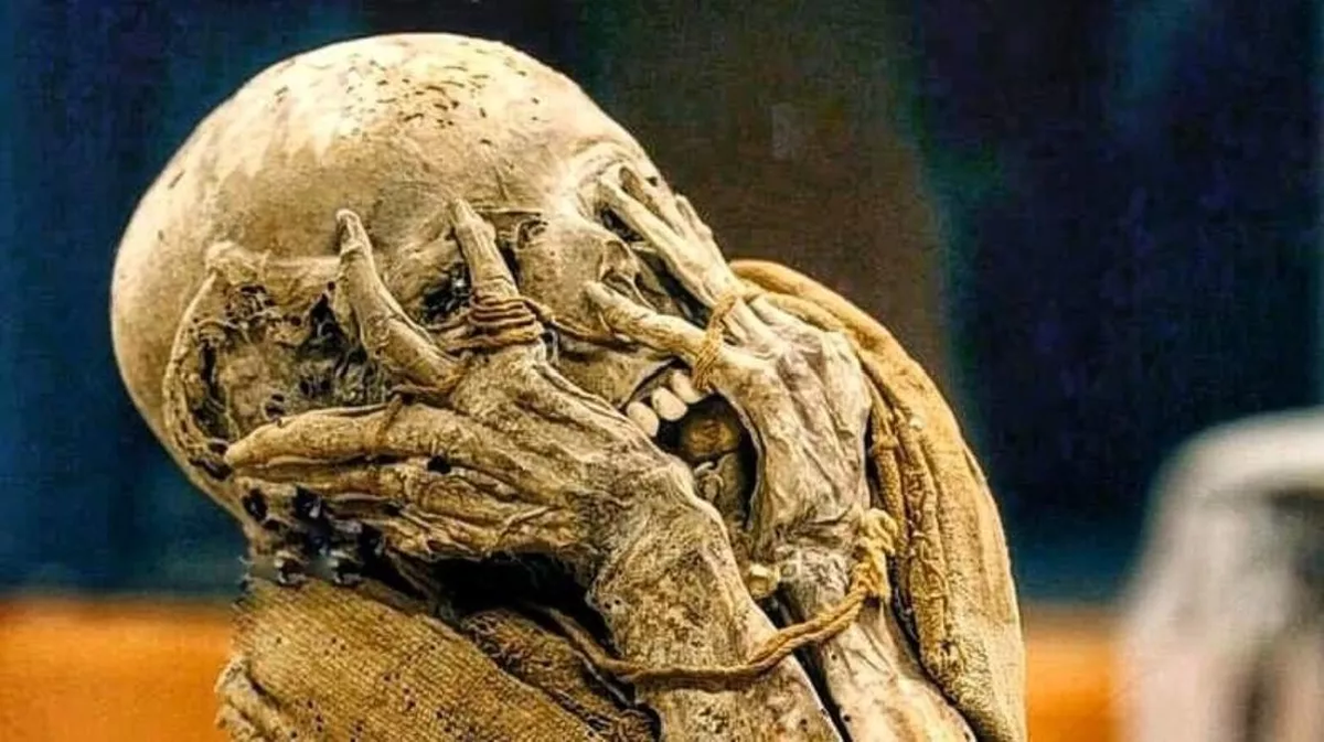 La momia de una persona que muri&oacute; hace 800 a&ntilde;os, fue encontrada en una zona costera cercana a Lima.